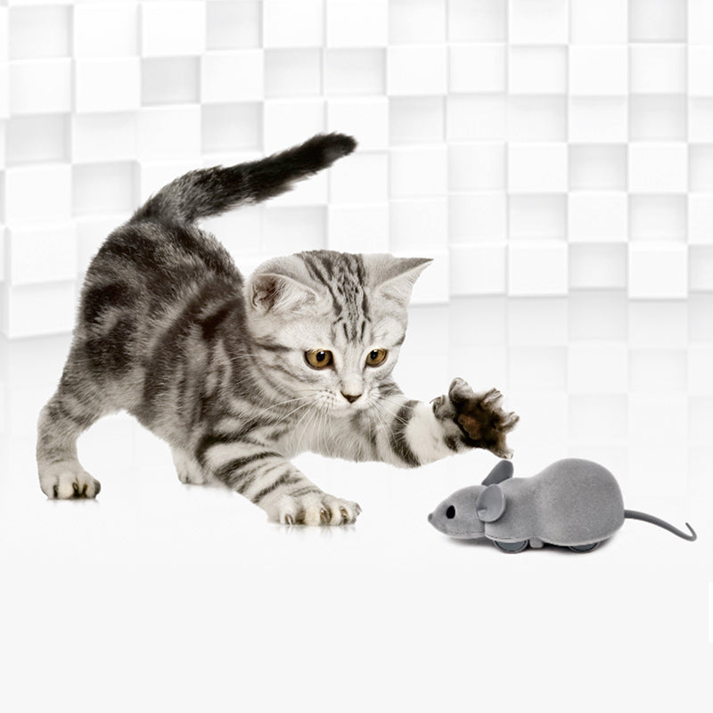 APP-controlled Smart Mouse Hunt Cat Toy 