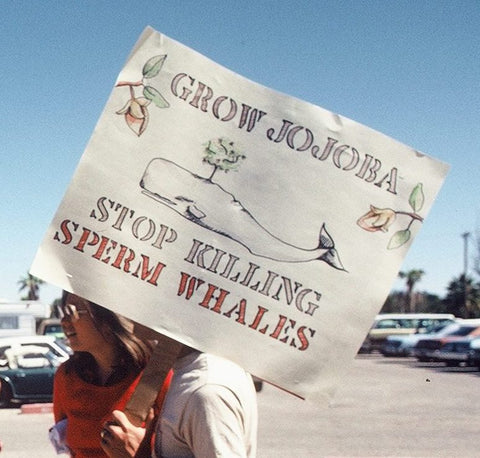 "Grow Jojoba, Stop Killing Sperm Whales" sign