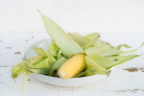 Organic corn being shucked 