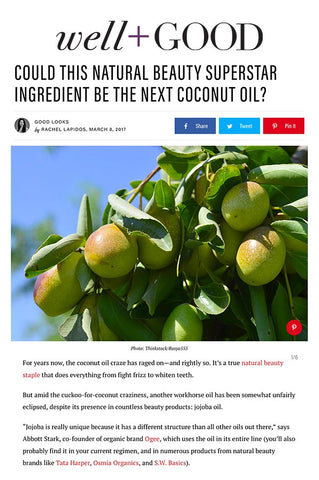 Well + Good: Could This Natural Beauty Superstar be the Next Coconut Oil? - Ogee's Organic Jojoba Oil
