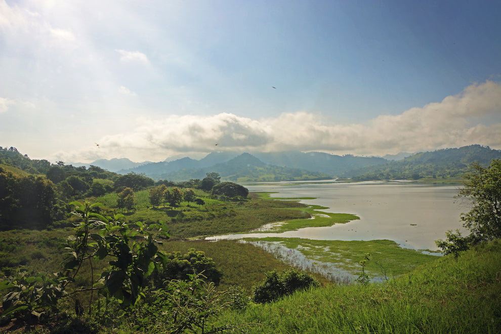 A picture of a river winding through a valley. On both sides of the river are lush green fields and forests, with a mountain range in the background.