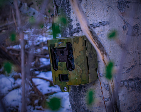 Close up on green camo trail camera