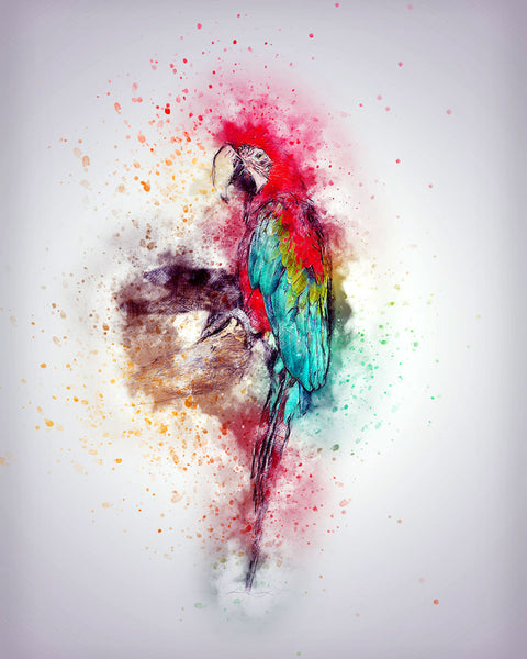 Expressive art for home or office - parrot 