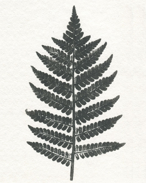 Monoprint - exotic leaf