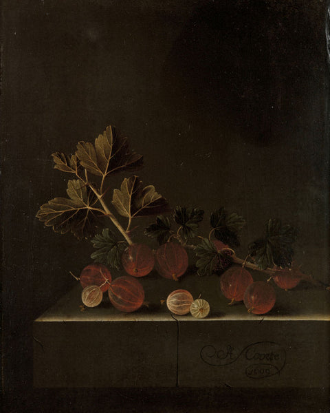 Gooseberries Adriaen Coorte with Signature 