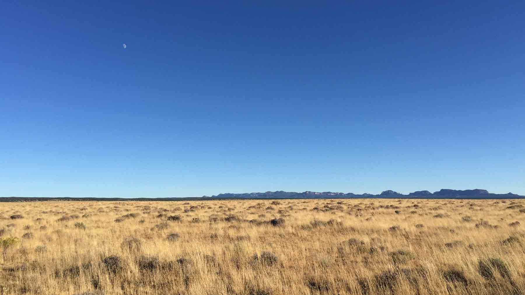 View of a dry grassy field towards distant mountains near the Lightning Field art installation in New Mexico