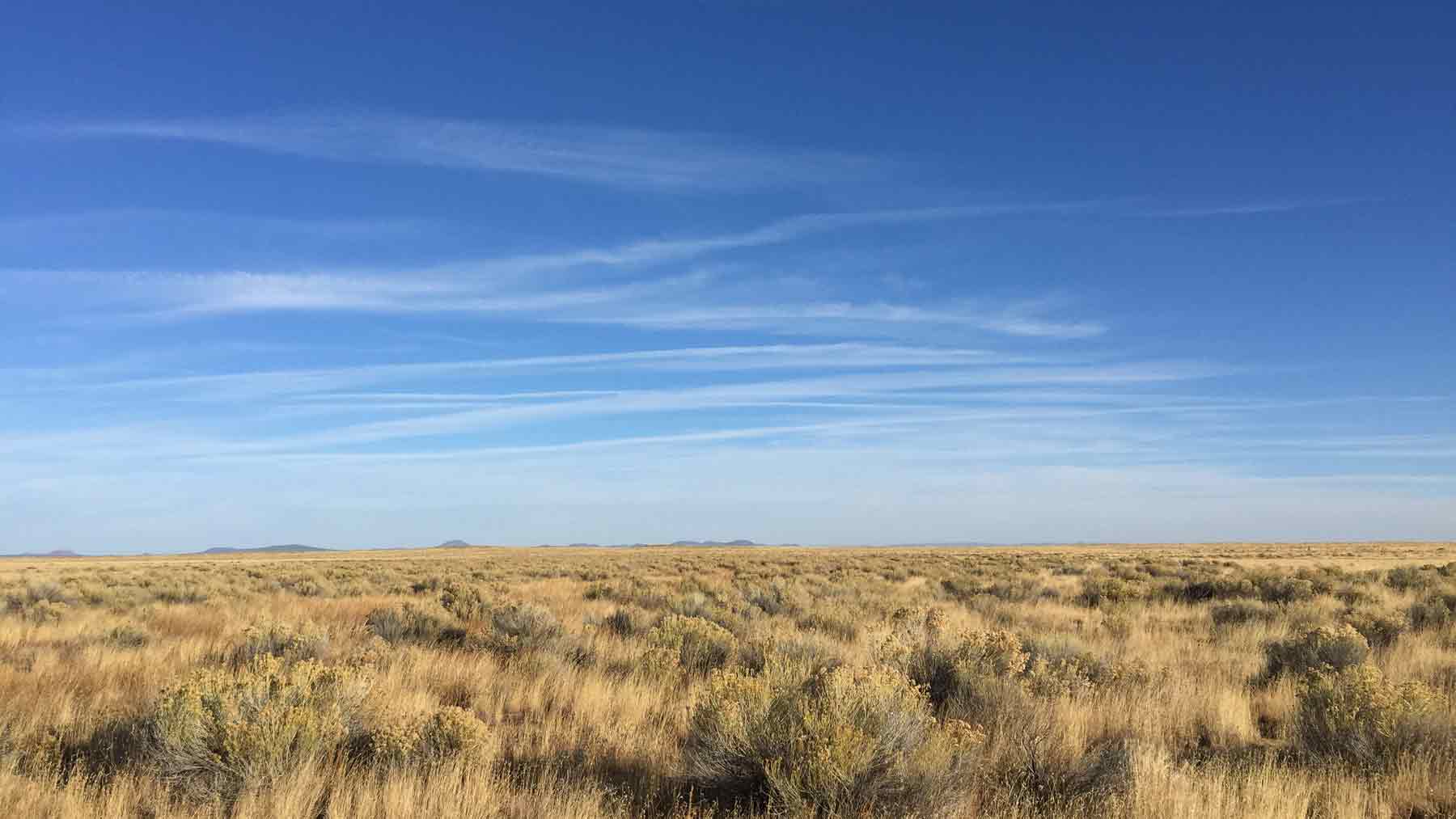 View of distant mountains across dry grassy field with blue sky and wispy clouds near the Lightning Field land art installation in New Mexico