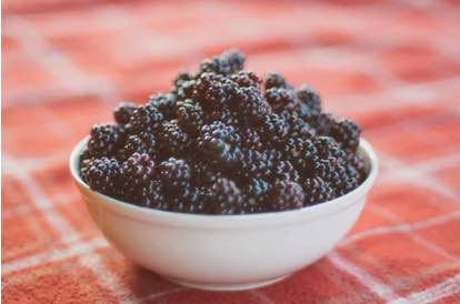 A bowl of black berries