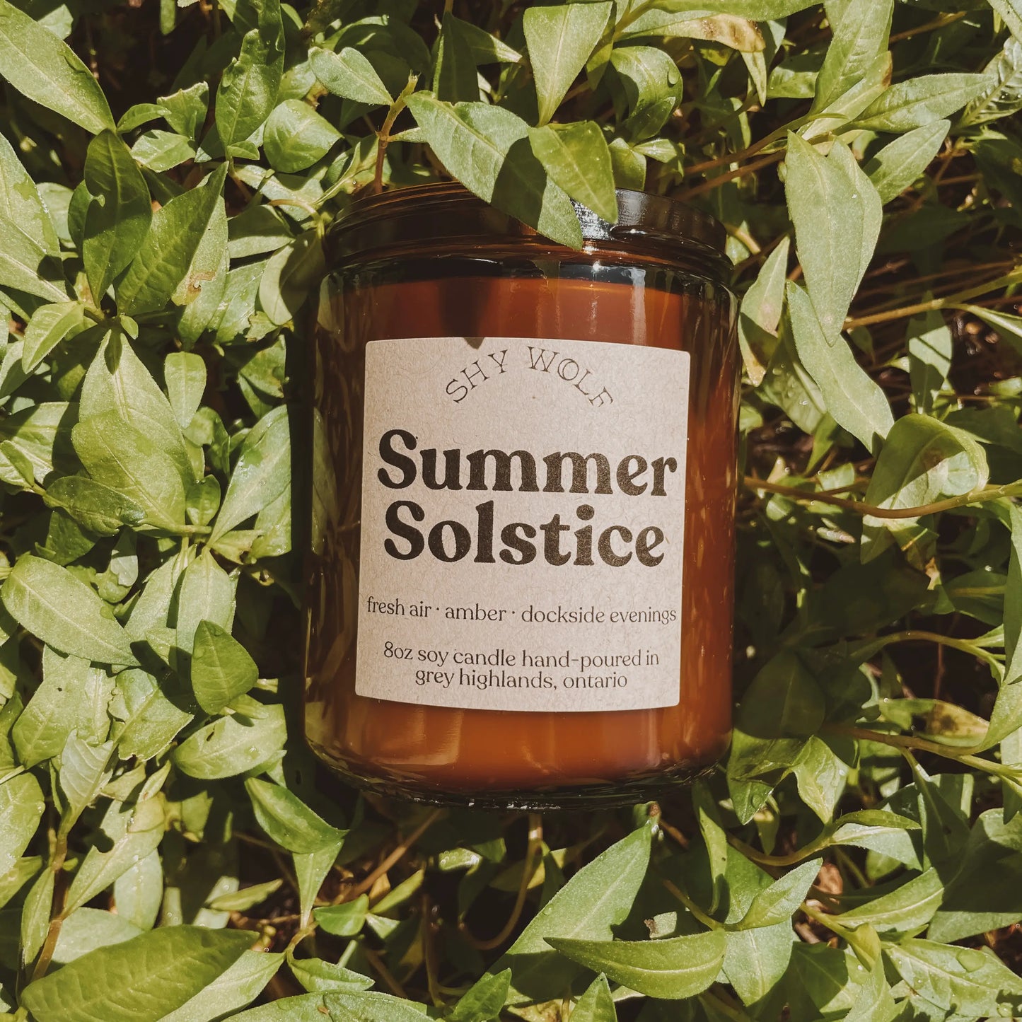 Tarot Candle - Summer Solstice Shy Wolf