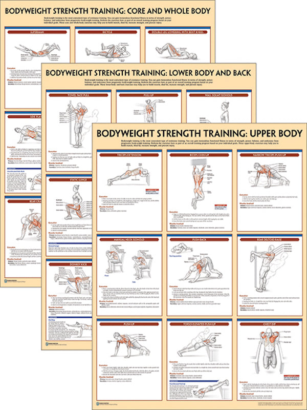 Bodyweight Strength Training Anatomy Downloads