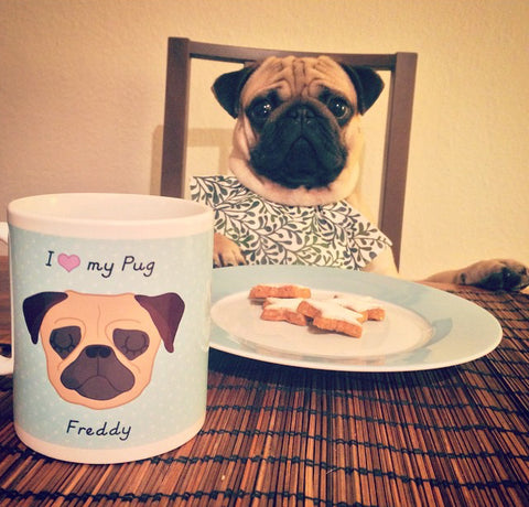 pug sitting at breakfast table with Hoobynoo mug