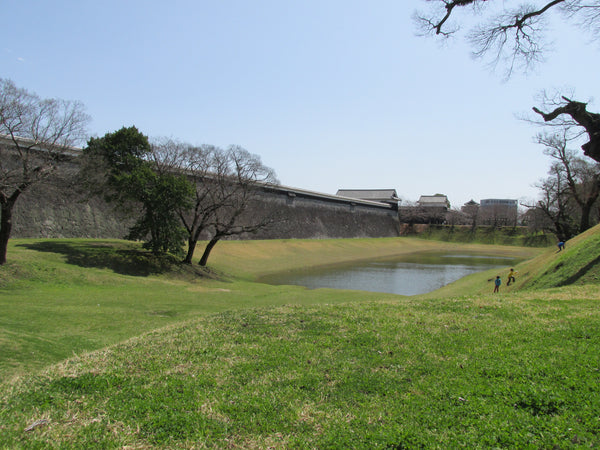 Park around Kumamoto Castle - clean as a whistle!
