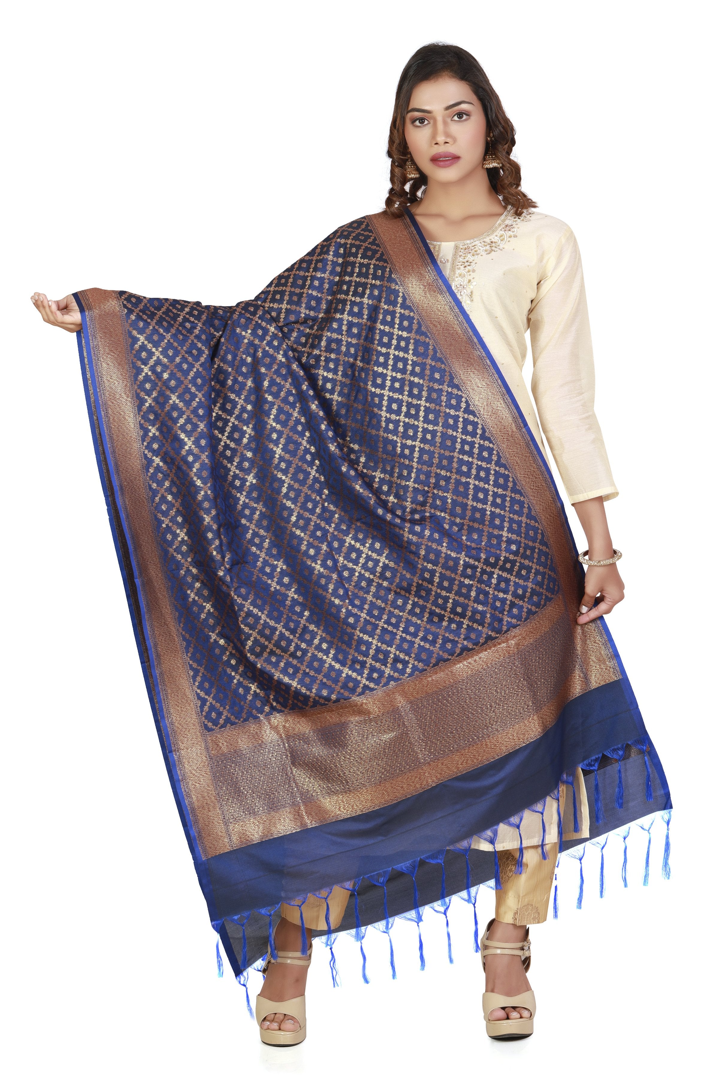 Blue Banarasi Dupatta Artisan Handmade| Buy Online – Inhika.com