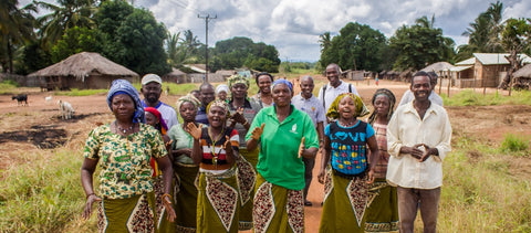akf-mozambique-farmer_field_schools-village_organization