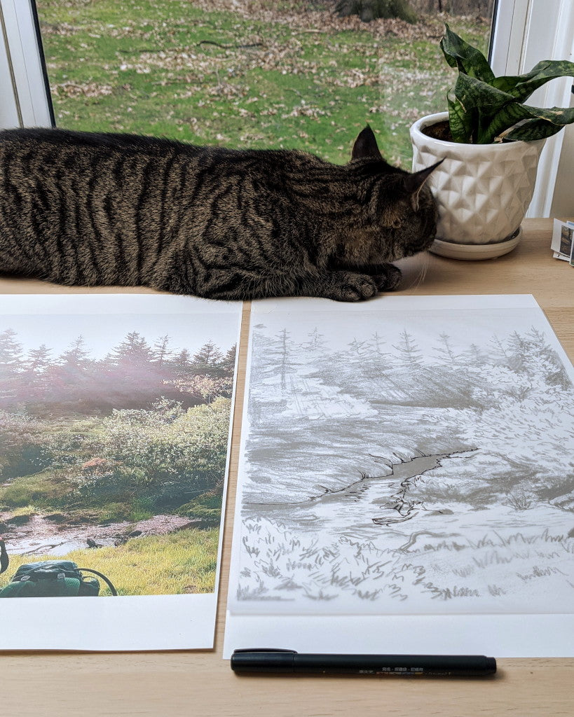 landscape sketch and cat