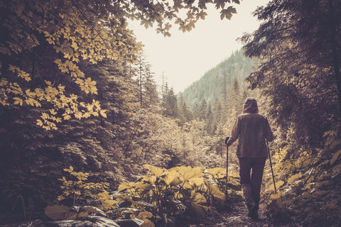 A hiker in full rain gear steps through a dense forest.