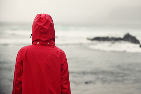 A hiker in a rain jacket looks out over the water. 