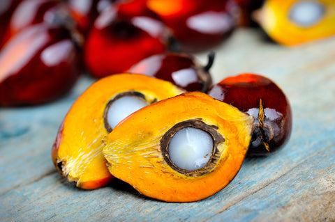 opened palm fruit