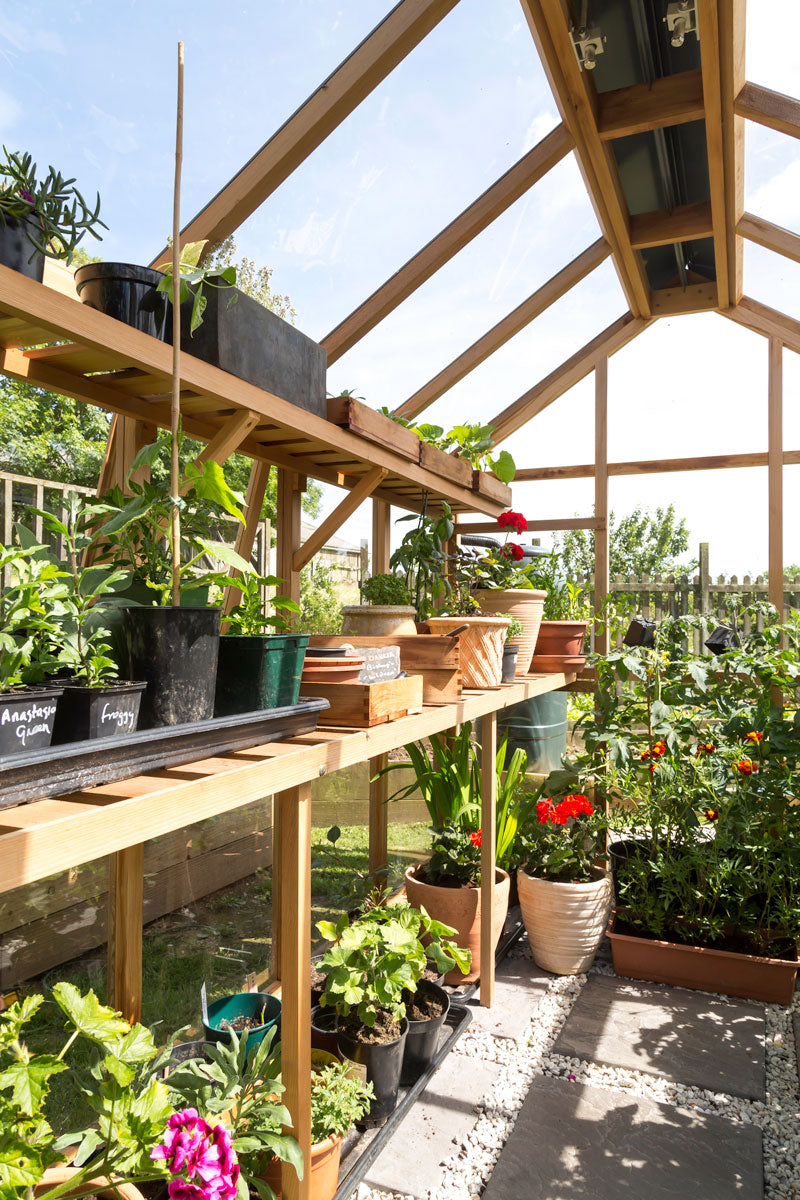 Gabriel Ash - Preparing your Greenhouse for Winter