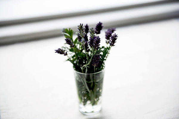 Lavender flowers in glass