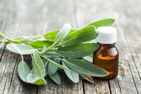 Sage essential oil