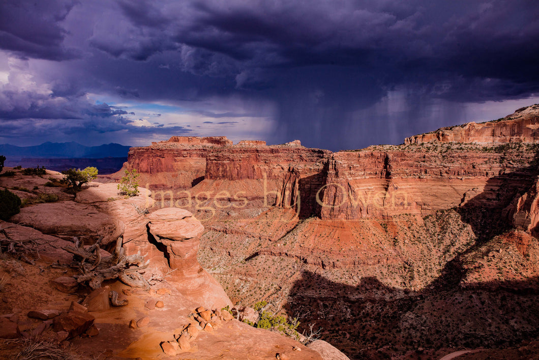 Monsoon in Canyon Lands