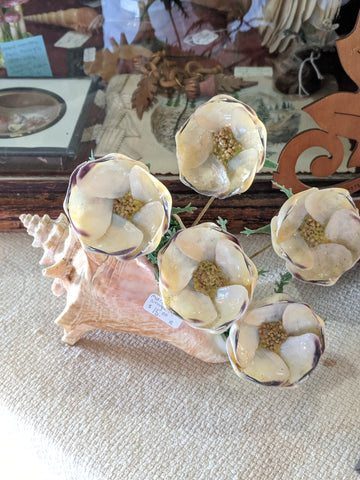 seashell with metal flowers