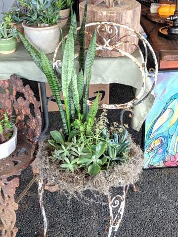succulent chair planter