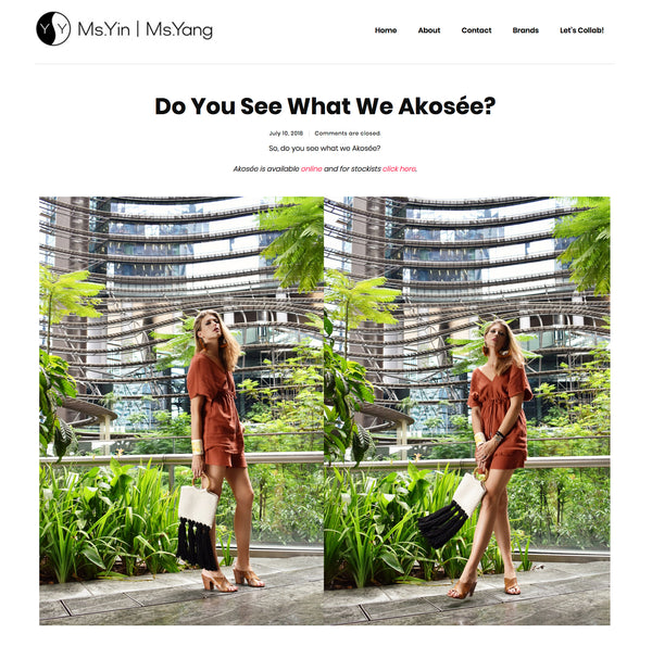 Ms.Yin Ms.Yang Blog - Do you see what we Akoseée Article