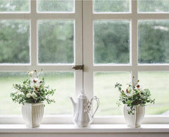 White window sill with 2 plants and a white tea pot