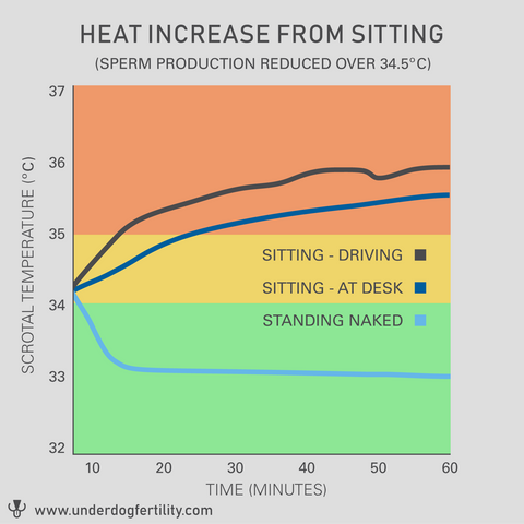 heat increase from sitting