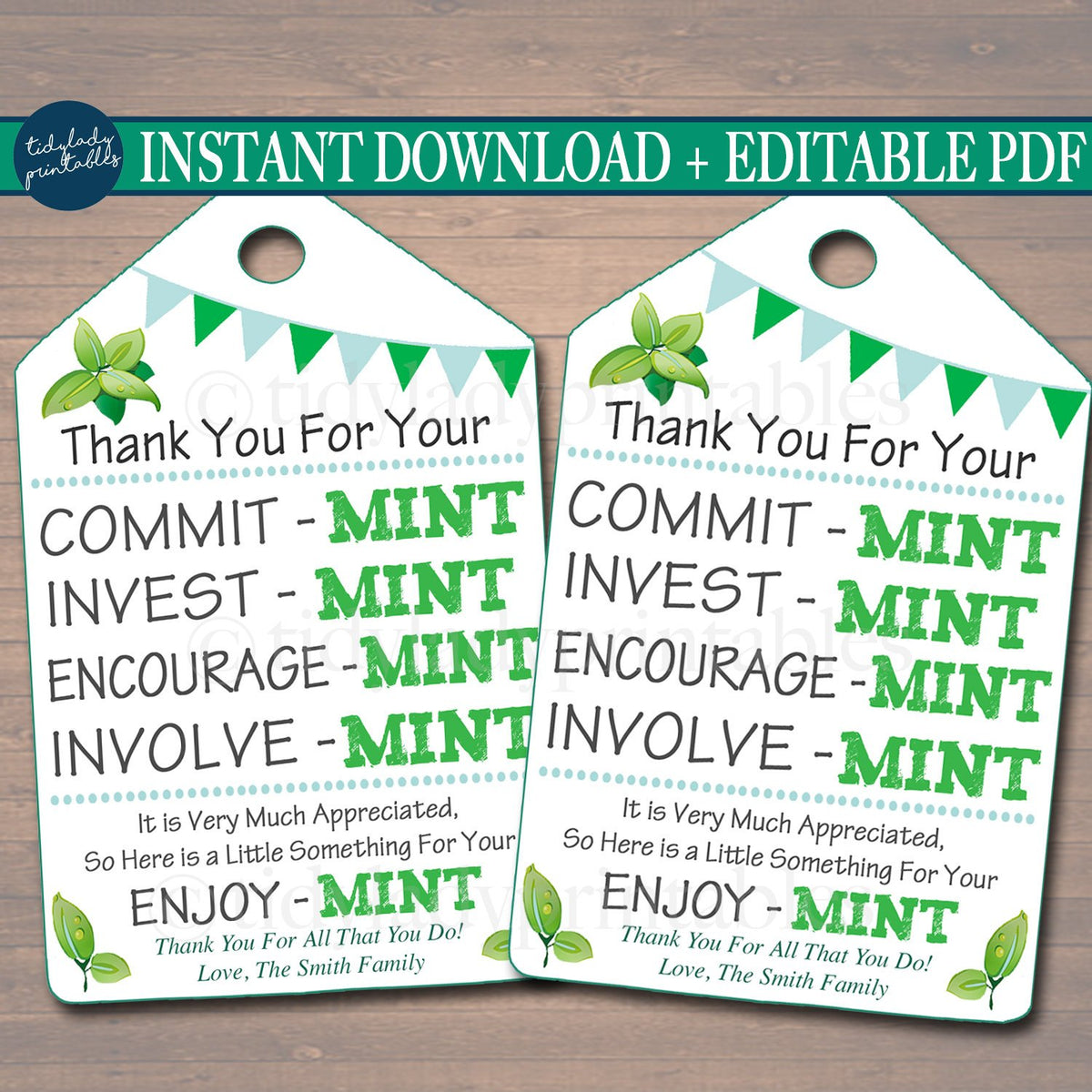 printable-thank-you-tags-volunteer-mint-labels-printable-instant-tidylady-printables