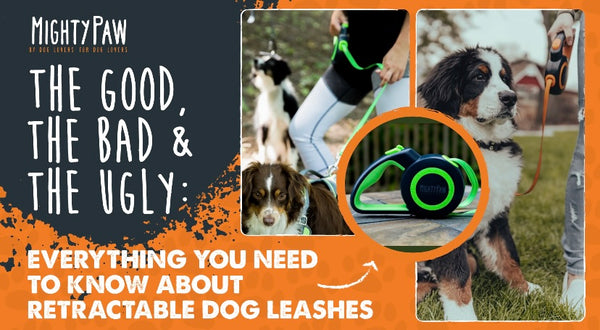 why are retractable leashes bad for dogs