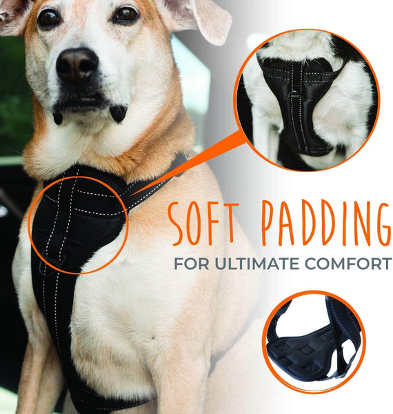 mighty paw car harness