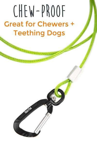 chew proof leashes
