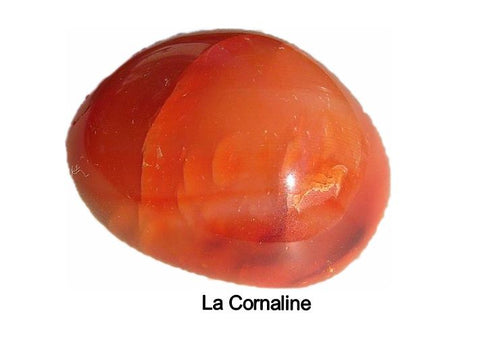 La cornaline orangée