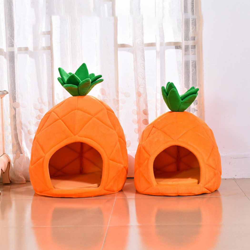 pineapple dog house