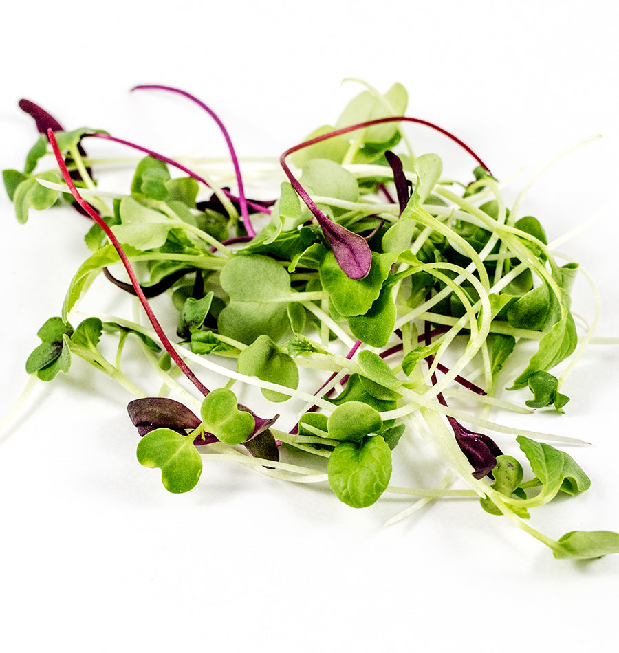 microgreens grow seeds