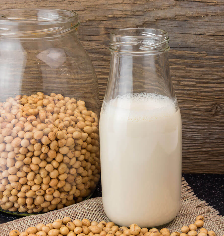 Home Made Soy Milk West Coast Seeds