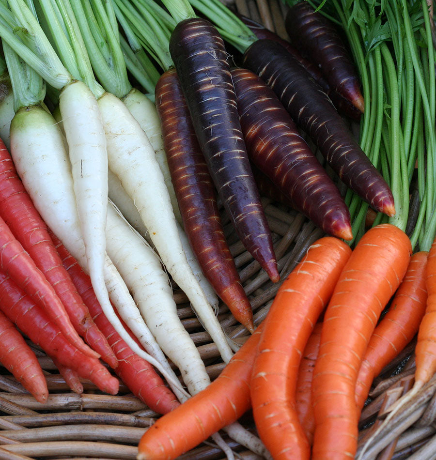 How To Store Carrots West Coast Seeds