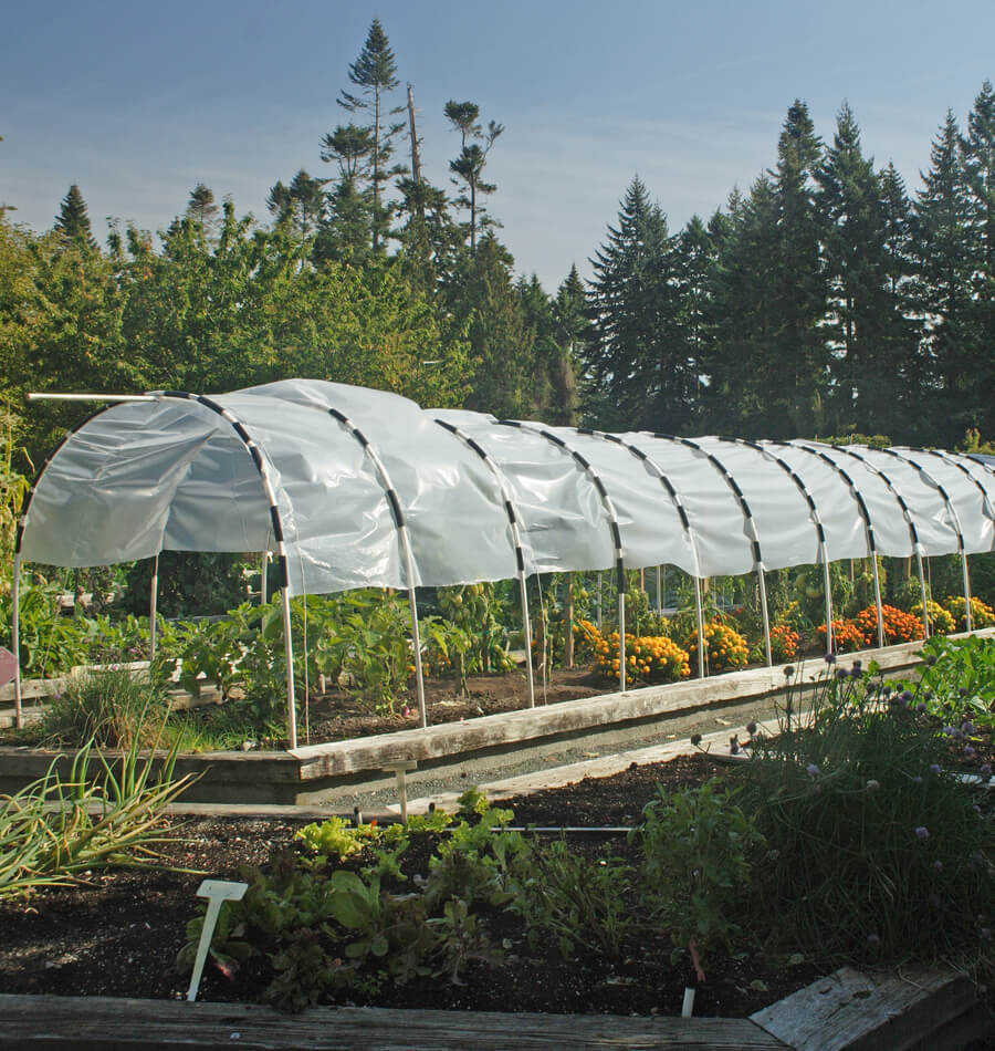 Making A Cloche Greenhouse West Coast Seeds