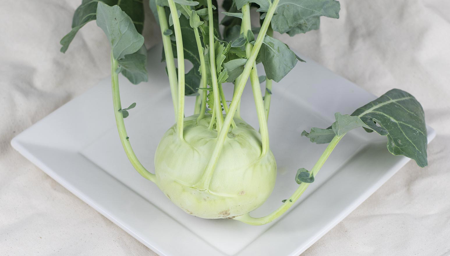 About Kohlrabi