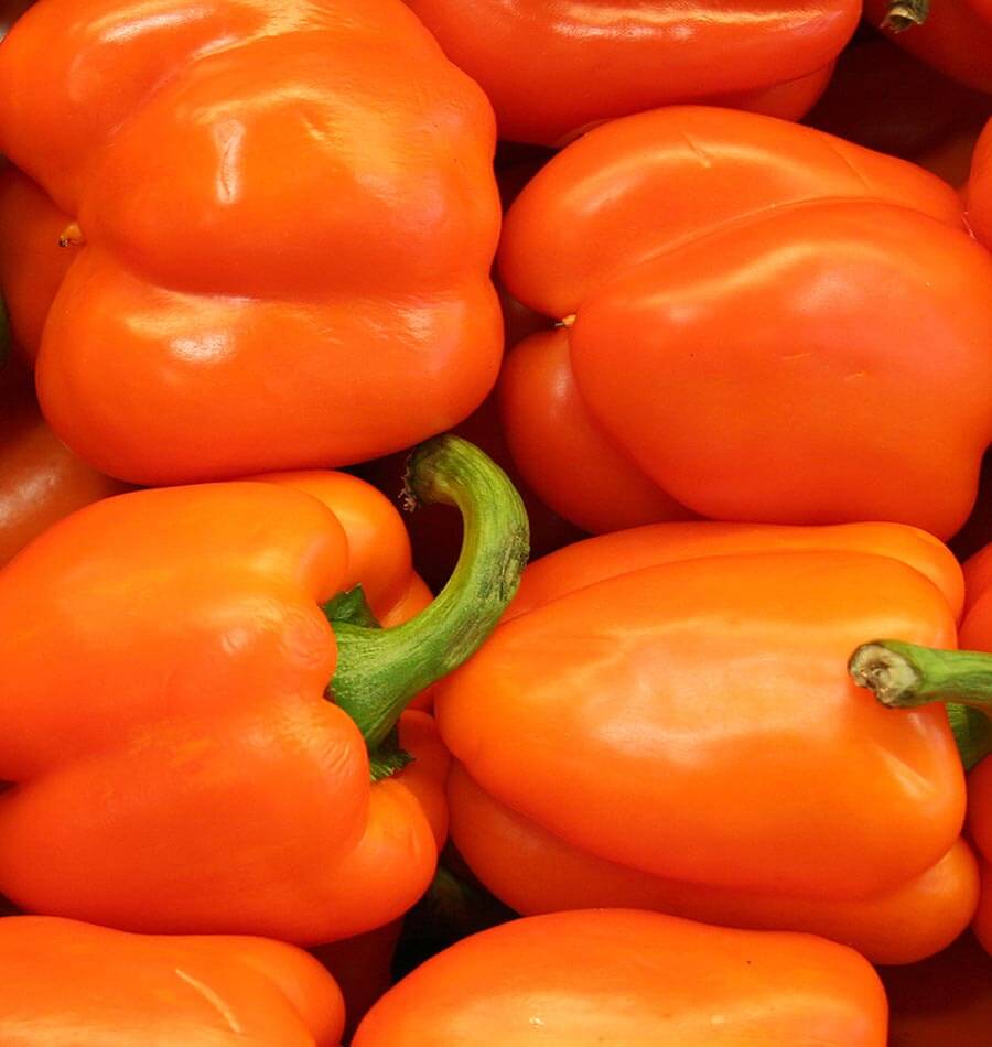 orange pepper