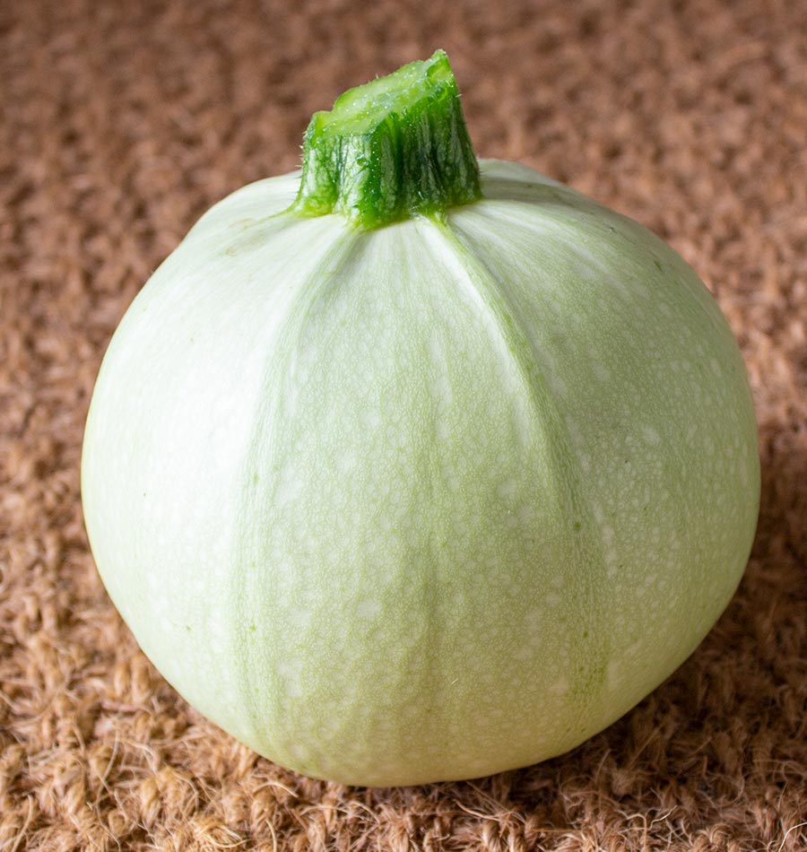 light green squash