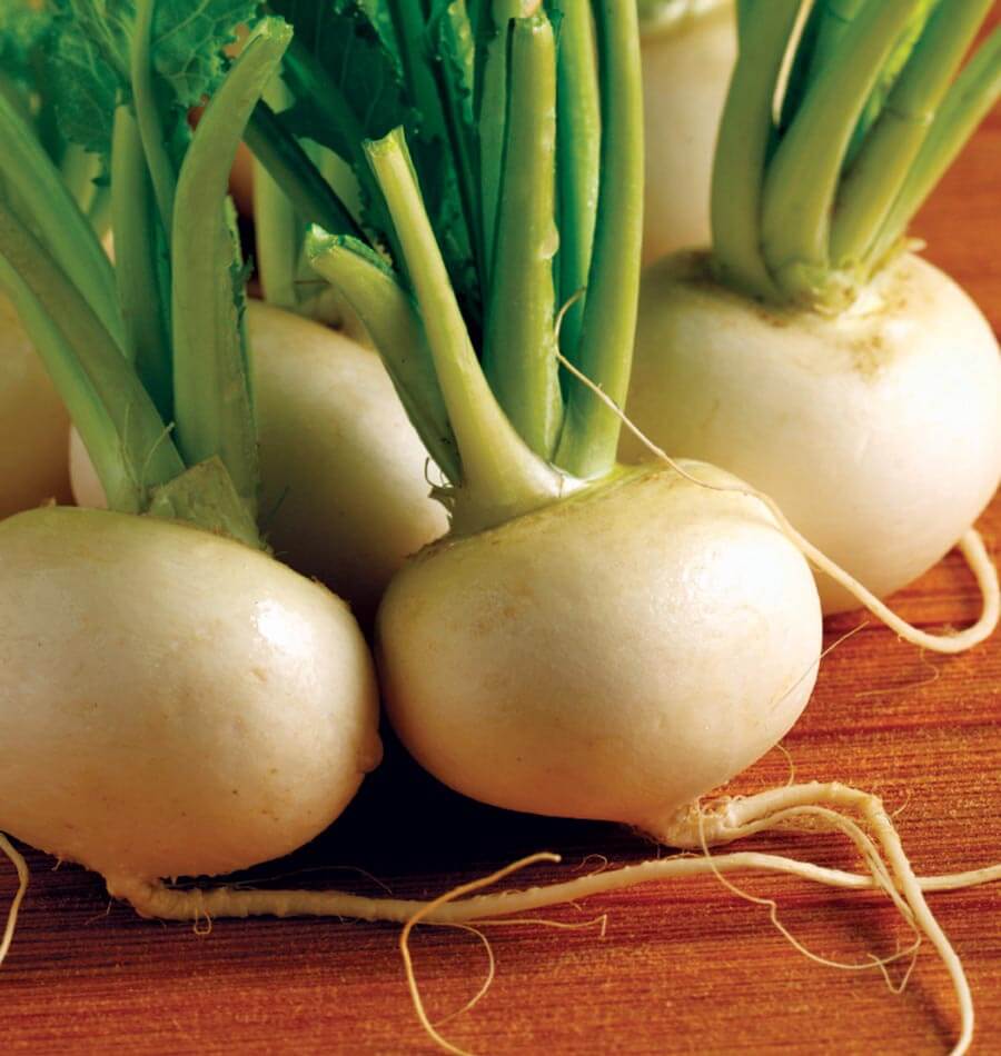 Hakurei turnip seeds are some of the most popular turnip seeds available. 