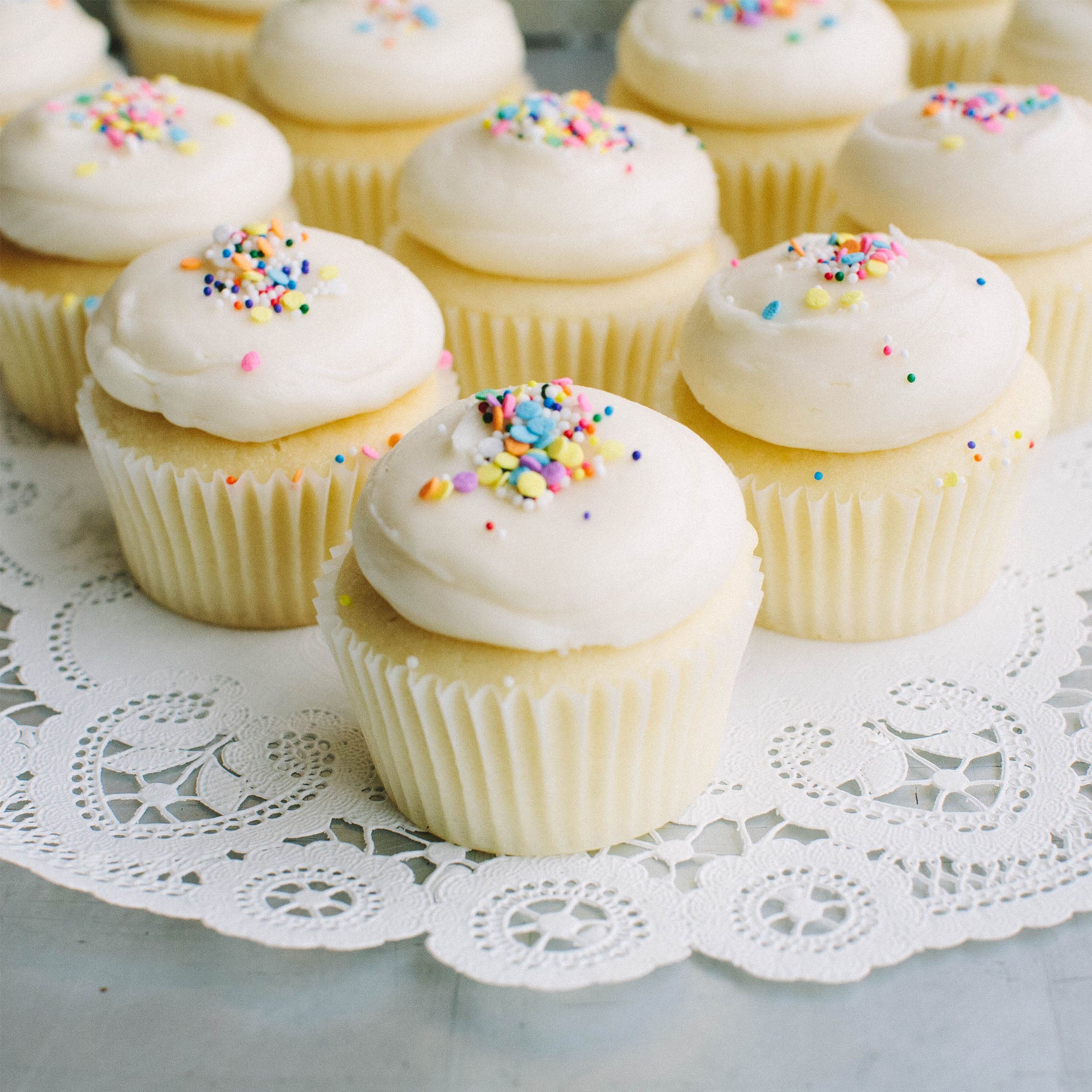 Moet aanvulling spel Plain Jane Cupcakes – Muddy's Bake Shop