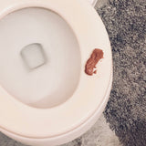 edible fake poop prank