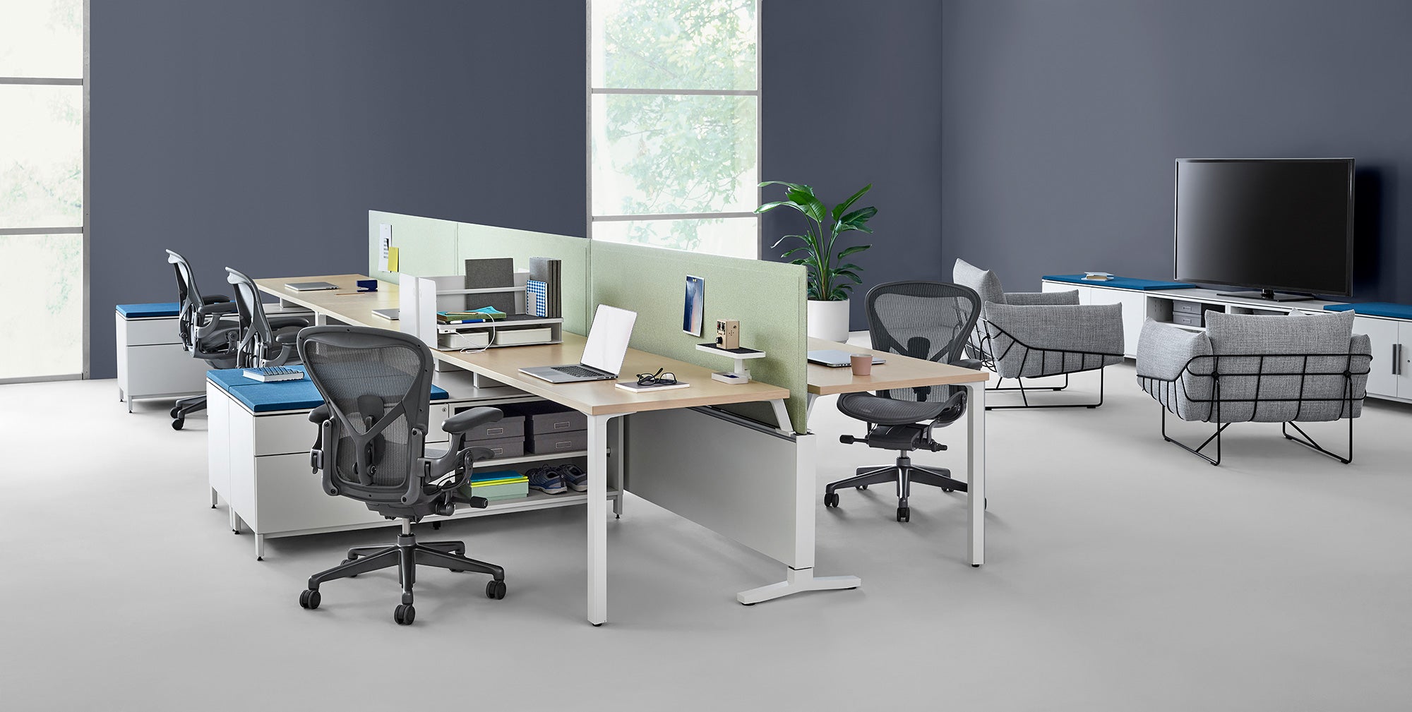 Aeron Chairs in Office
