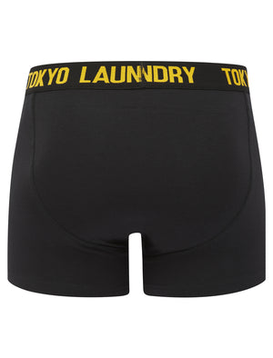 Harland (2 Pack) Boxer Shorts Set in Caribbean Sea / Mimosa Yellow - triatloandratx