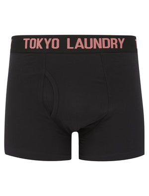 Harland (2 Pack) Boxer Shorts Set in Faded Peach / Blue Atoll - triatloandratx